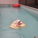 스테이 21 이미지