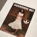 실버태권도 | 서울역 아디다스 신상 발레코어 슈즈 태권도 메이 실제 후기(컬러,가격)