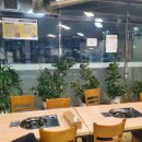 오리와돼지 이미지