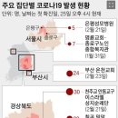 코로나19 (질병관리본부 25일 오후 4시기준) 이미지