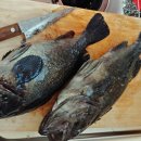 루어낚시닷컴 이미지