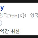 팁시(Tipsy) 이미지
