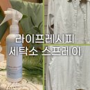 뿌리세탁소 이미지