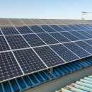 알로한 태양광발전소 이미지