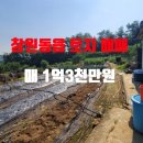 황금터농장 이미지