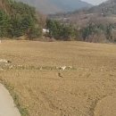 계촌보건진료소 이미지