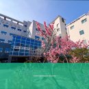 의료법인생명샘의료재단 로뎀요양병원 네이버블로그