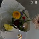 유얼백