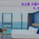 씨유 해운대씨클라우드호텔 | 크리스마스 해운대 호텔 모텔 추천 코오롱 씨클라우드 호텔 뷰 좋은 해운대 호텔