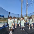 그림나라어린이집 네이버블로그