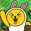 스튜디오패럿 이미지