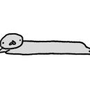 하이(HI)치과기공소 이미지