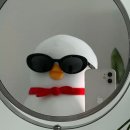 에센스치과의원 | 김백수