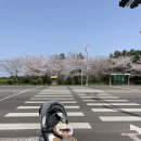 국민체육센터 앞 횡단보도 이미지