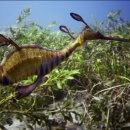 블루플래닛 이미지