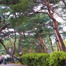 이야기가 있는집 이미지