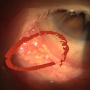 안성밝은안과의원 이미지