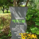 서울명덕초등학교 이미지