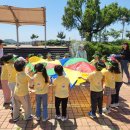 용화유치원 이미지