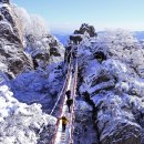 대둔산목장 이미지