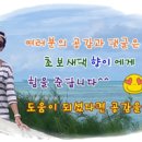 (주)아이다코스메틱