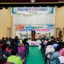 보길면-3 이미지