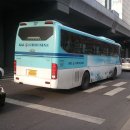 노블항공