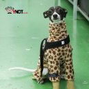 김기욱농장 이미지