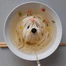 국수드림