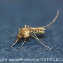 빨간집 이미지