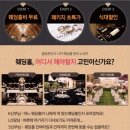 나우롯데포항