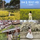 국내 봄 여행지 3월 4월 꽃구경 가볼만한곳 best6