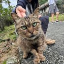 서부오味가味거리 | 처음 가본 대만 2박 3일｜타이베이·예스허지 일정과 현실 후기
