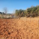 영민농장 이미지