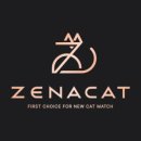 광주고양이분양 제나캣 광주점 이미지