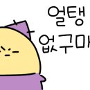 딸랑분식 이미지