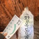 충주댐가든 | 충북 충주 가볼만한곳, 리솜포레스트 근처 활옥동굴 + 가성비 숭어회덮밥까지 코스 추천