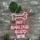 마이달링독 이미지