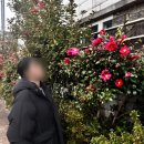 은결약국 | 많이 늦은 작년 겨울 일상
