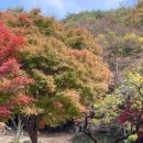 상무안경 이미지