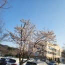 참(charm)행정사 사무소 이미지