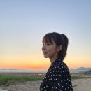 지니하니 이미지