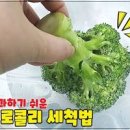 브로콜리 세척법 찌기 브로콜리 두부무침 브로콜리 먹는법 이미지