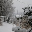 안골농원 이미지