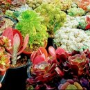 해림농장 이미지