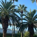 국토종주자전거길1-9 이미지