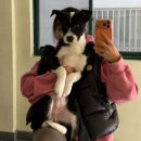 운남동물병원 이미지