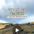 영남알프스식품 이미지