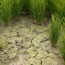 경보상회 이미지