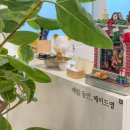 메이드영 뷰티